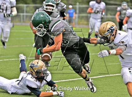 Thumbnail 2 in Frederick @ Conifer photogallery.