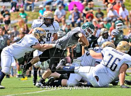 Thumbnail 3 in Frederick @ Conifer photogallery.