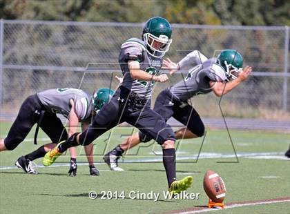 Thumbnail 1 in Frederick @ Conifer photogallery.