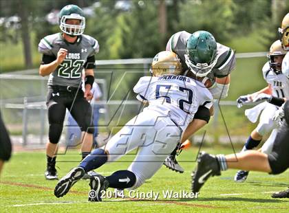 Thumbnail 1 in Frederick @ Conifer photogallery.