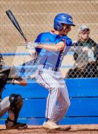 Photo from the gallery "Vanden @ Christian Brothers"