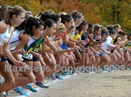 Thumbnail 3 in CIF State Cross Country Championships photogallery.