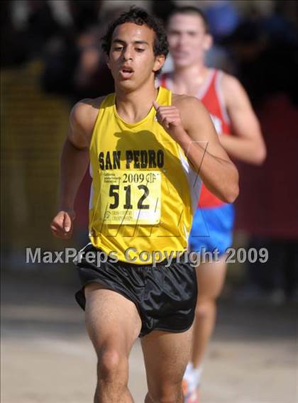 Thumbnail 2 in CIF State Cross Country Championships photogallery.