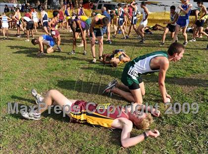 Thumbnail 2 in CIF State Cross Country Championships photogallery.