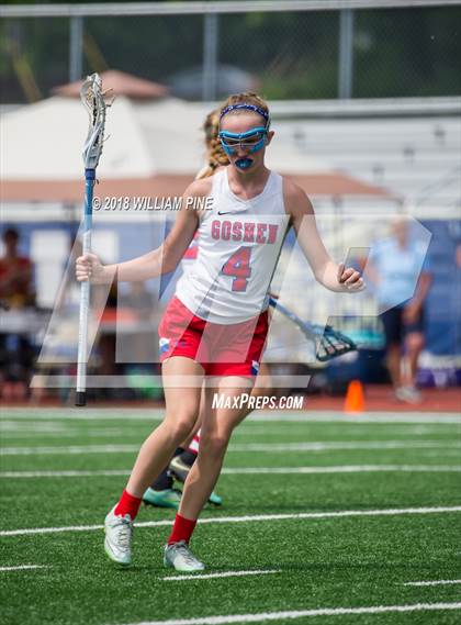 Thumbnail 2 in Goshen Central vs. Brewster (NYSPHSAA Class C Regional Final) photogallery.