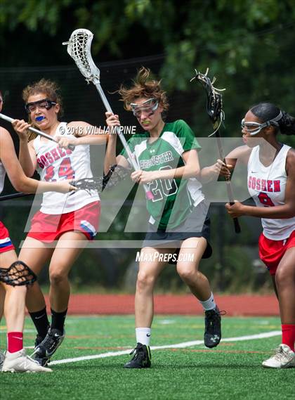 Thumbnail 1 in Goshen Central vs. Brewster (NYSPHSAA Class C Regional Final) photogallery.