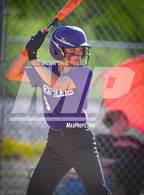 Photo from the gallery "North Canyon @ Williams Field"