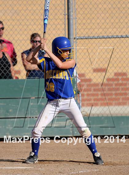 Thumbnail 1 in Benicia vs Del Campo (CIF SJS D2 Final - Game 1) photogallery.