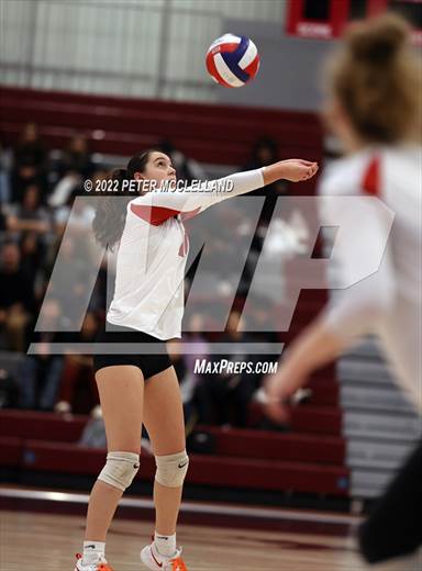 null - Photo 01