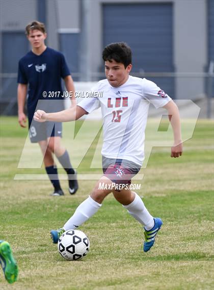 Thumbnail 2 in Hendrickson vs Lee [Robert E.] photogallery.