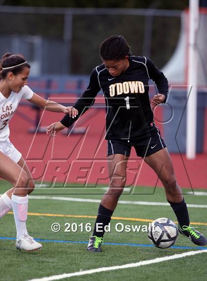 Thumbnail 1 in Las Lomas vs. Bishop O'Dowd (CIF NCS D2 Final) photogallery.