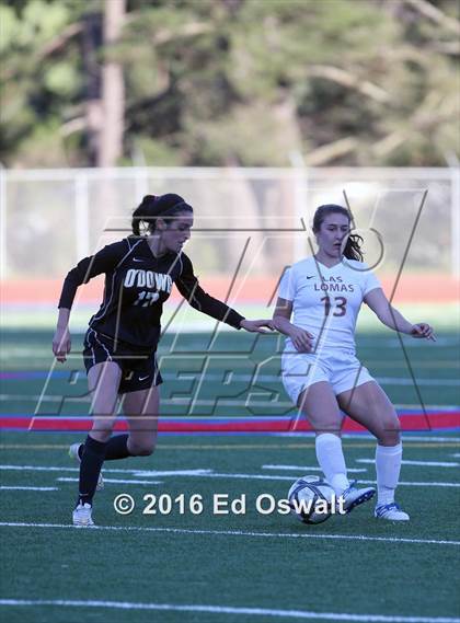 Thumbnail 2 in Las Lomas vs. Bishop O'Dowd (CIF NCS D2 Final) photogallery.