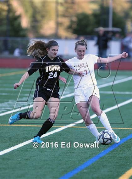 Thumbnail 3 in Las Lomas vs. Bishop O'Dowd (CIF NCS D2 Final) photogallery.