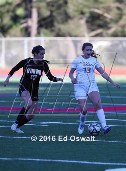 Thumbnail 1 in Las Lomas vs. Bishop O'Dowd (CIF NCS D2 Final) photogallery.