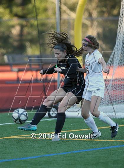 Thumbnail 2 in Las Lomas vs. Bishop O'Dowd (CIF NCS D2 Final) photogallery.