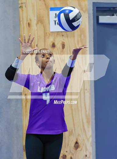 null - Photo 11
