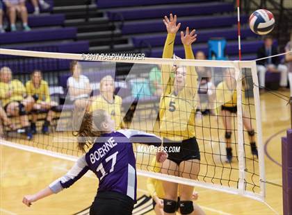 Thumbnail 2 in Blanco @ Boerne photogallery.