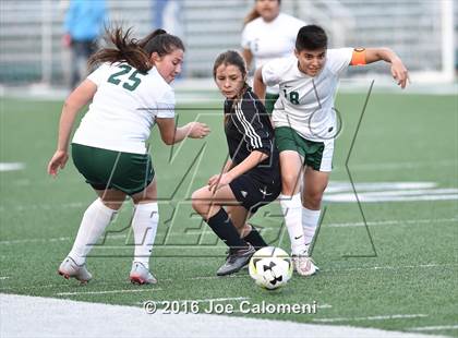 Thumbnail 2 in Holmes vs Wagner (Farris Stadium) photogallery.