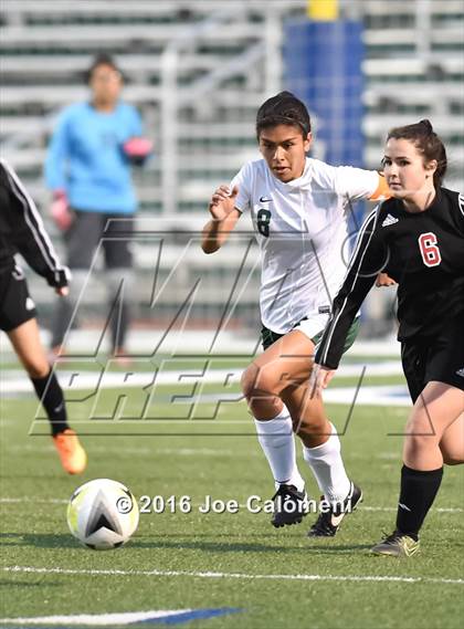 Thumbnail 1 in Holmes vs Wagner (Farris Stadium) photogallery.