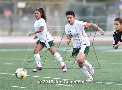 Thumbnail 1 in Holmes vs Wagner (Farris Stadium) photogallery.