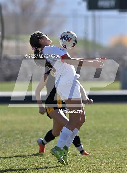 Thumbnail 2 in Doral Academy Red Rock @ Galena (NIAA 4A Championship) photogallery.