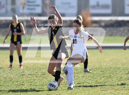 Thumbnail 3 in Doral Academy Red Rock @ Galena (NIAA 4A Championship) photogallery.