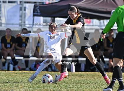 Thumbnail 1 in Doral Academy Red Rock @ Galena (NIAA 4A Championship) photogallery.