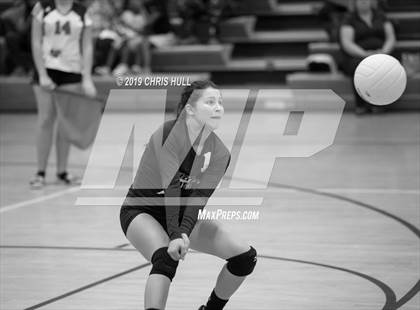 Thumbnail 1 in Lennard @ Tampa Bay Tech photogallery.