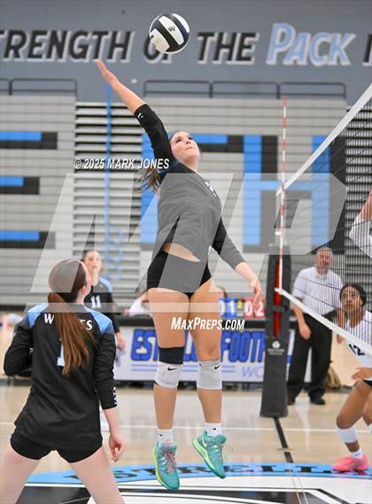 Thumbnail 2 in Estrella Foothills vs. Willow Canyon - Championship (Wolves Classic Volleyball Tournament) photogallery.