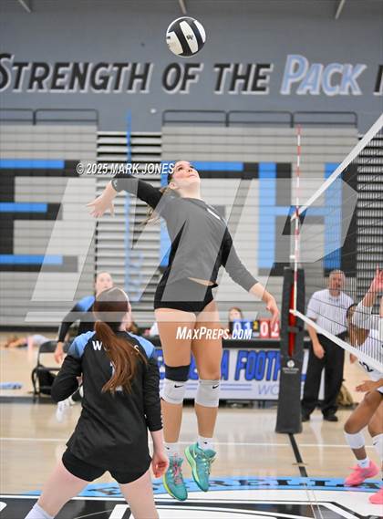 Thumbnail 1 in Estrella Foothills vs. Willow Canyon - Championship (Wolves Classic Volleyball Tournament) photogallery.