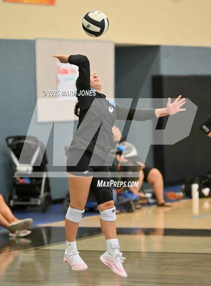 Thumbnail 2 in Estrella Foothills vs. Willow Canyon - Championship (Wolves Classic Volleyball Tournament) photogallery.