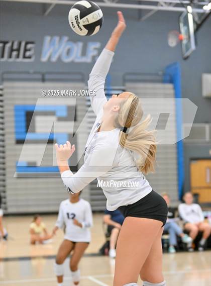 Thumbnail 2 in Estrella Foothills vs. Willow Canyon - Championship (Wolves Classic Volleyball Tournament) photogallery.