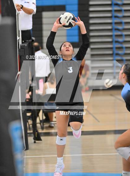 Thumbnail 2 in Estrella Foothills vs. Willow Canyon - Championship (Wolves Classic Volleyball Tournament) photogallery.