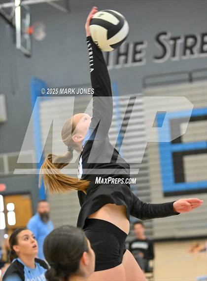 Thumbnail 1 in Estrella Foothills vs. Willow Canyon - Championship (Wolves Classic Volleyball Tournament) photogallery.