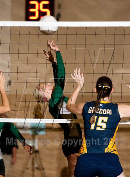 Thumbnail 1 in Pitman @ Gregori photogallery.