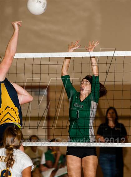 Thumbnail 3 in Pitman @ Gregori photogallery.