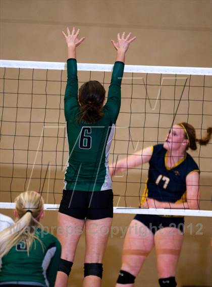 Thumbnail 2 in Pitman @ Gregori photogallery.