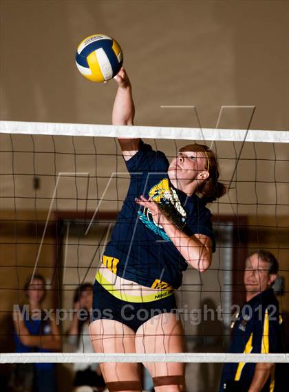 Thumbnail 3 in Pitman @ Gregori photogallery.