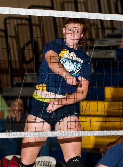 Thumbnail 1 in Pitman @ Gregori photogallery.