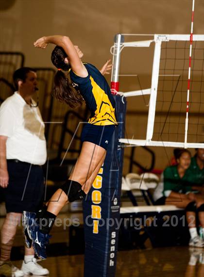Thumbnail 2 in Pitman @ Gregori photogallery.