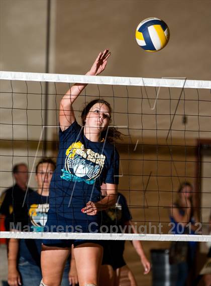 Thumbnail 1 in Pitman @ Gregori photogallery.