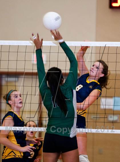 Thumbnail 3 in Pitman @ Gregori photogallery.