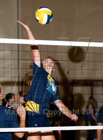 Thumbnail 2 in Pitman @ Gregori photogallery.