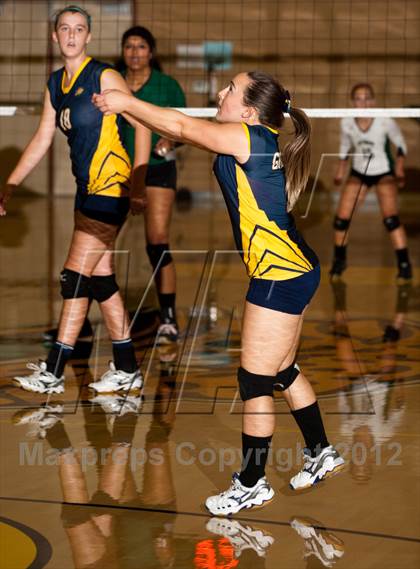 Thumbnail 1 in Pitman @ Gregori photogallery.