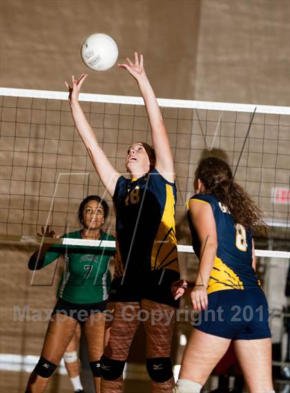 Thumbnail 2 in Pitman @ Gregori photogallery.
