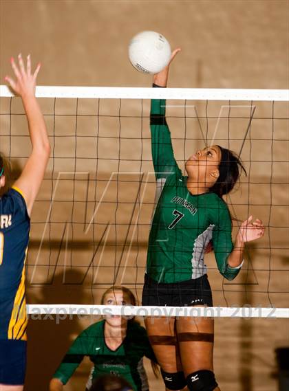 Thumbnail 2 in Pitman @ Gregori photogallery.