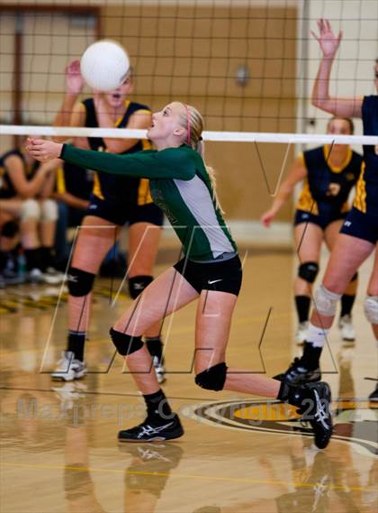 Thumbnail 2 in Pitman @ Gregori photogallery.