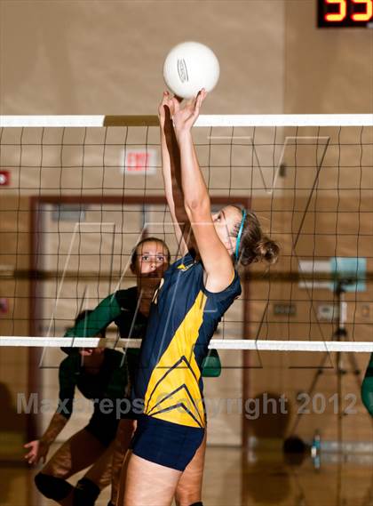Thumbnail 2 in Pitman @ Gregori photogallery.