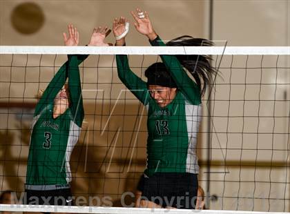 Thumbnail 1 in Pitman @ Gregori photogallery.