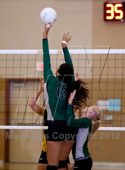 Thumbnail 2 in Pitman @ Gregori photogallery.